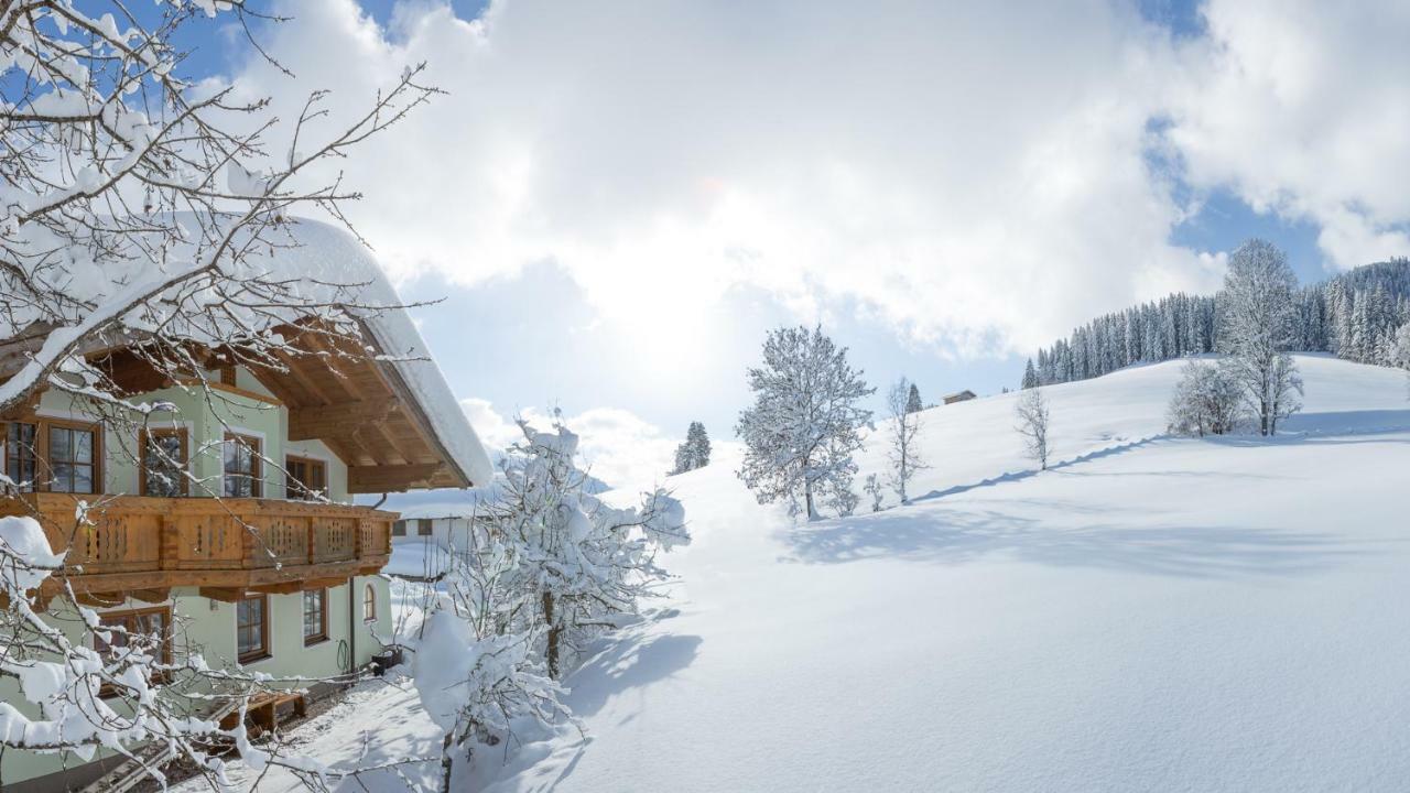 Appartement Oberschartlhof à Flachau Extérieur photo